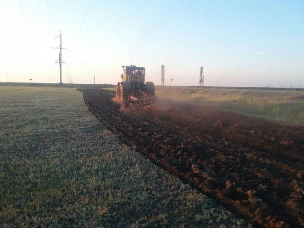 В Кызылорде незаконно торговали землей