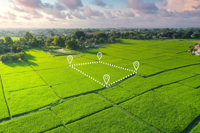 150 тысяч га земель возвращено в госсобственность в Алматинской области