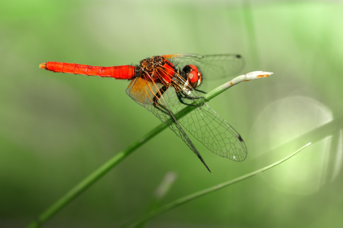Сильная жара сохранится в Алматинской и Мангистауской областях