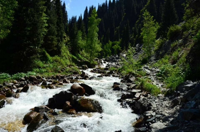 Упавший в реку малыш был на руках у 15-летней сестры