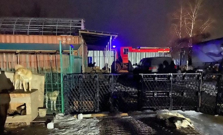Шесть собак сгорели в приюте алматинских волонтеров