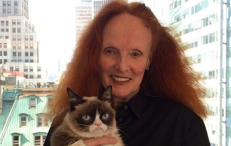 Знаменитая Grumpy Cat посетила редакцию американского Vogue