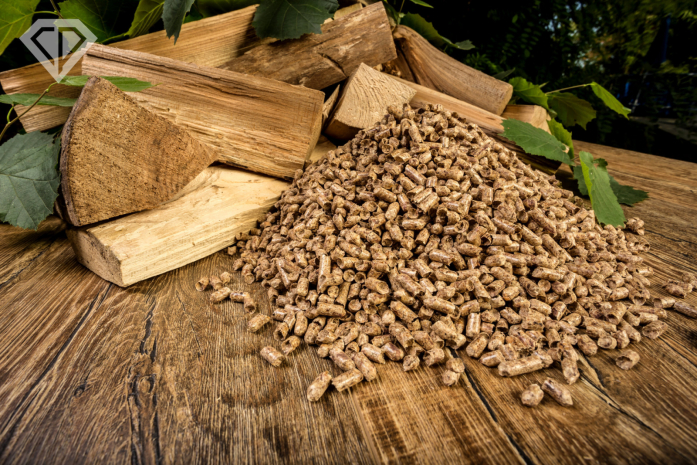 Жители Европы начали массово рубить деревья