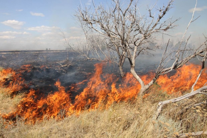 Непотушенный костер стал причиной пожара на одной из зон отдыха ВКО