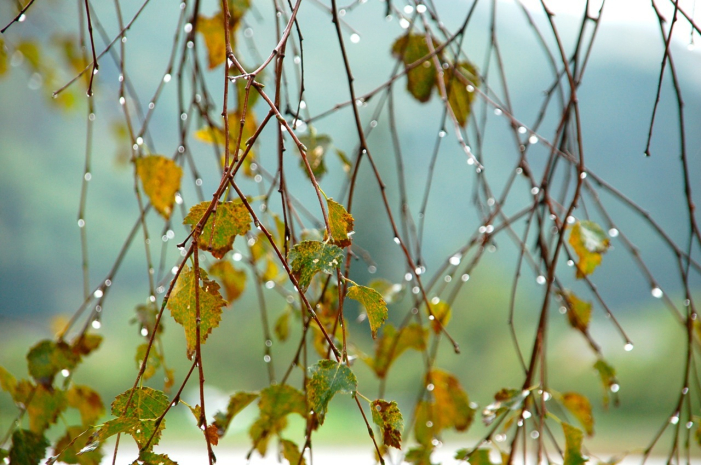 Дождливая погода ожидается в ряде областей Казахстана