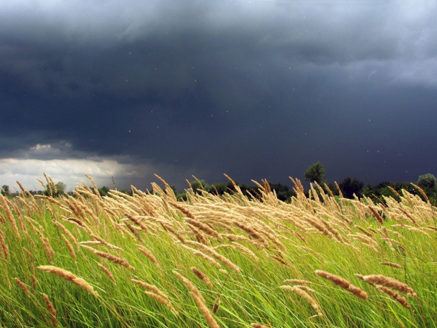 Дождь, град и шквал ожидаются на севере Казахстана