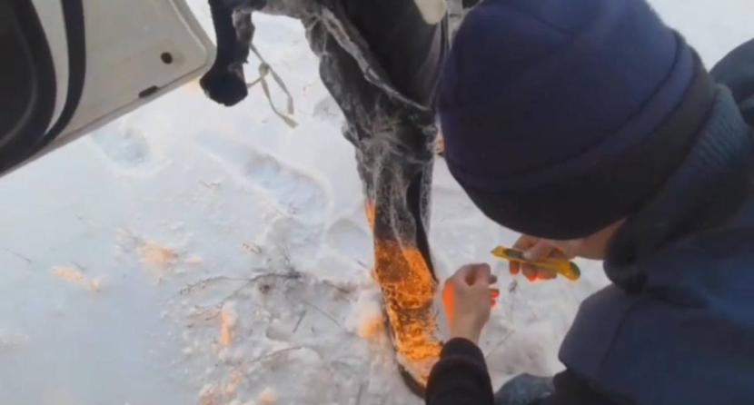 Провалившихся под лед рыбаков спасли в Павлодарской области