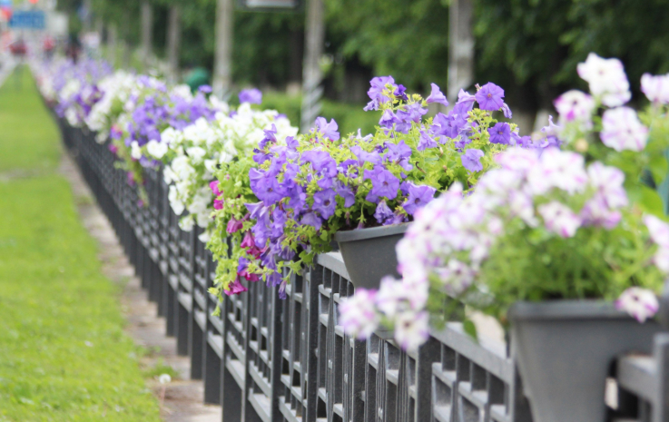 Погода без осадков ожидается на востоке Казахстана