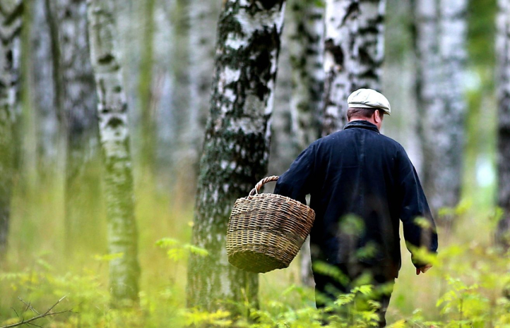 Погода без осадков ожидается на западе и юге Казахстана