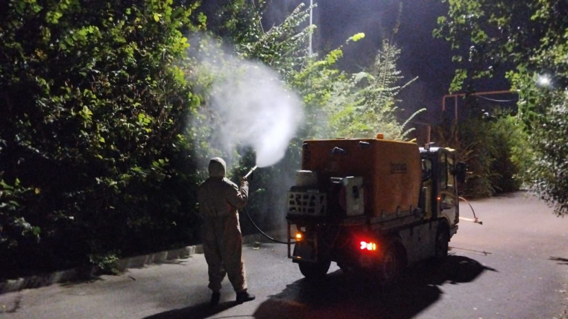 В Алматы проходит заключительный этап биообработки зеленых насаждений