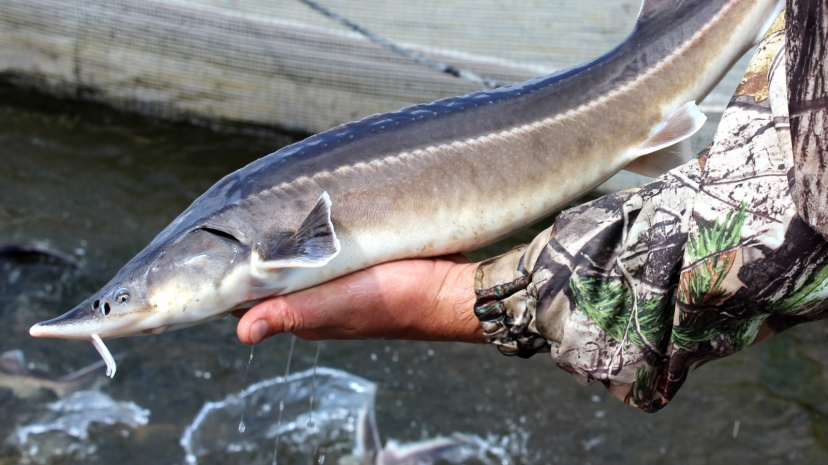 Экологический ущерб в миллиард тенге предотвратили в Мангыстау