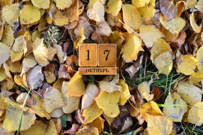 День борьбы с нищетой, кредитных союзов и Карва Чаутх в Индии