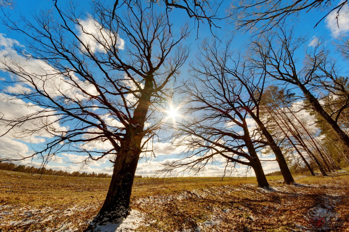 Солнечная и теплая погода сохранится в южных областях Казахстана