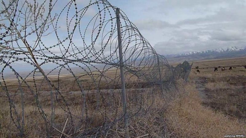 На казахстанско-кыргызской границе задержаны перегонщики скота