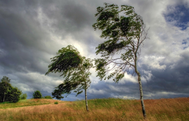 Сильный дождь с грозой и порывистым ветром ожидается на севере Казахстана