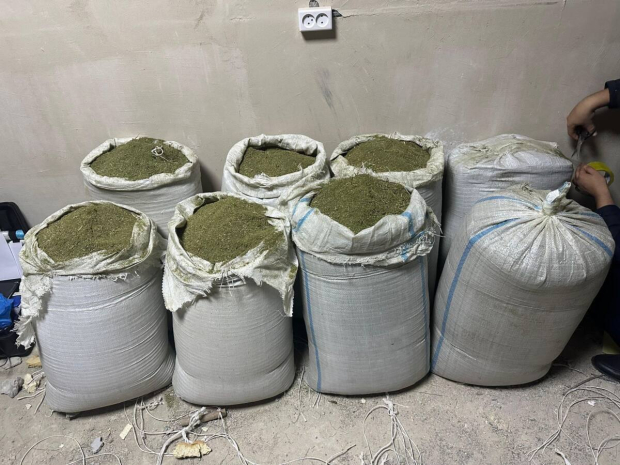 Оружие и 103 килограмма марихуаны изъяла полиция в области Улытау