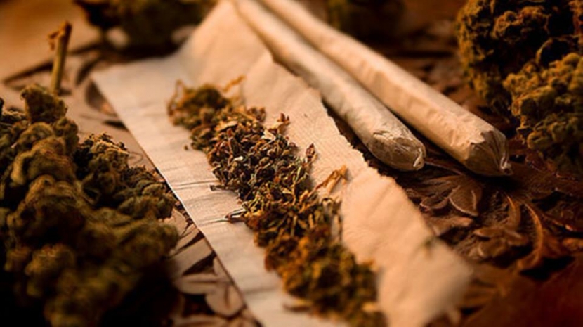 В Кокшетау студентку задержали за торговлю наркотиками