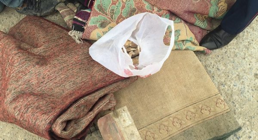 Трое кызылординцев незаконно перевозили рога сайги (ФОТО)