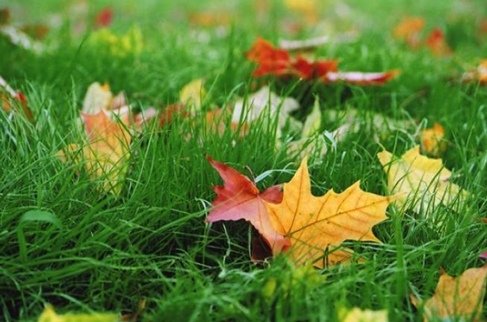 В северном и центральном Казахстане ожидается потеплениеЭксклюзив