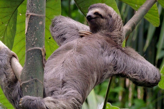 Всемирный день неторопливости и праздник фонарей в Китае