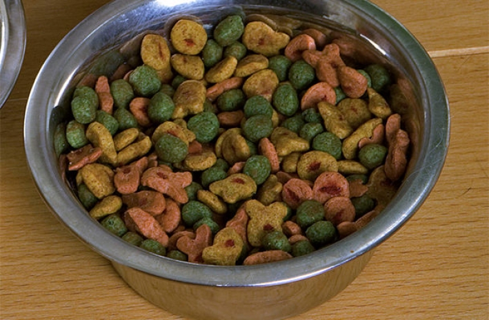 В Петербурге запретили ввоз корма из США