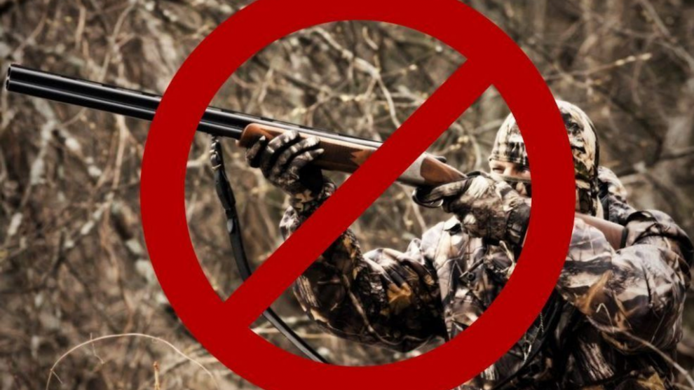 Монголия активизирует борьбу с браконьерством: итоги проверок и призыв к гражданам