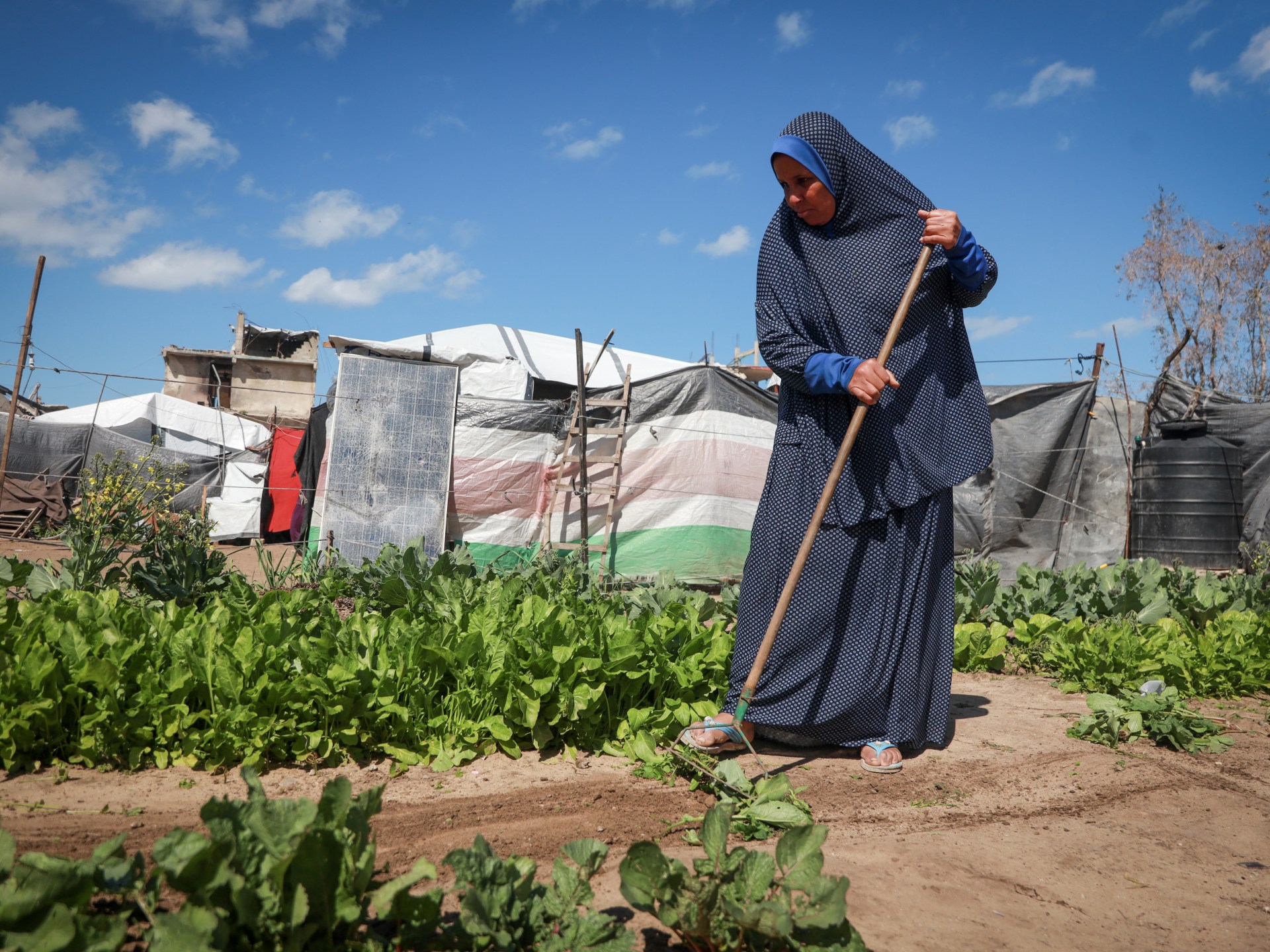 День Земли в Газе: Память и борьба за оставшиеся земли