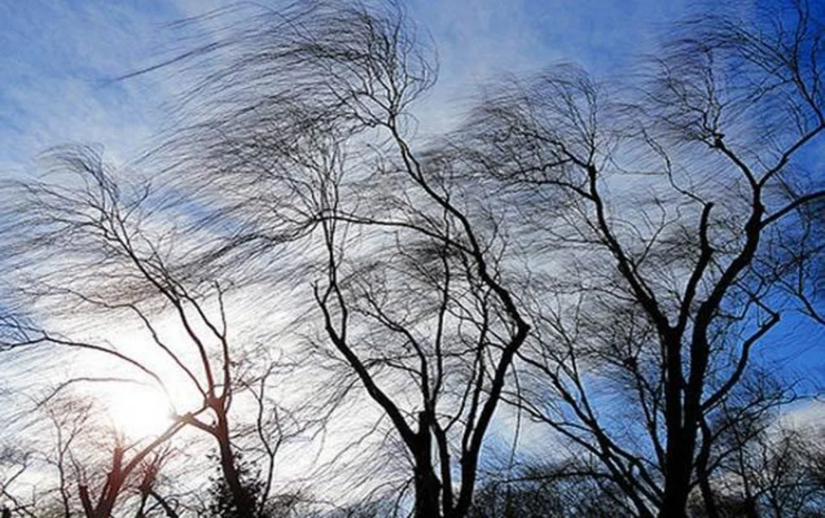 В Баку и на Абшероне объявлено желтое предупреждение в связи с ожидаемым ветром