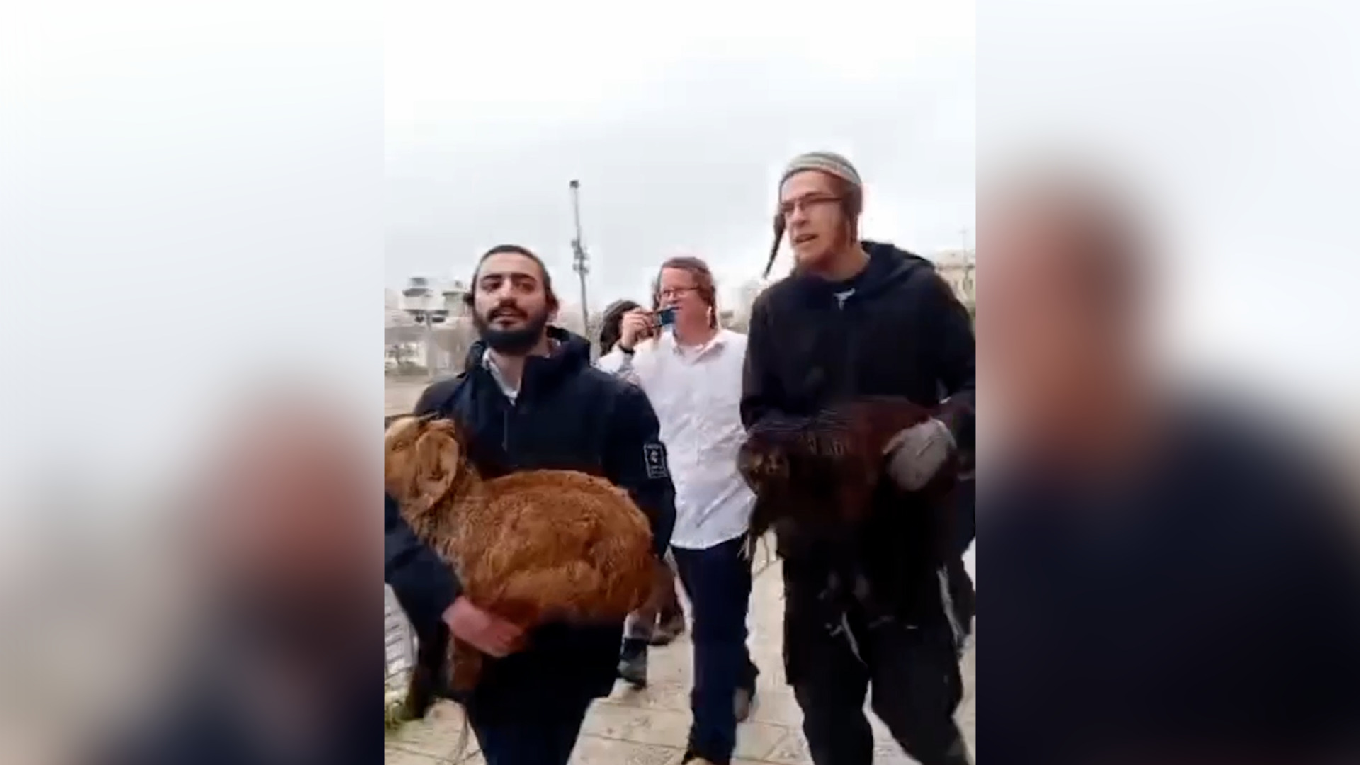Израильтяне попытались провести жертвоприношение на Пасху у Аль-Аксы