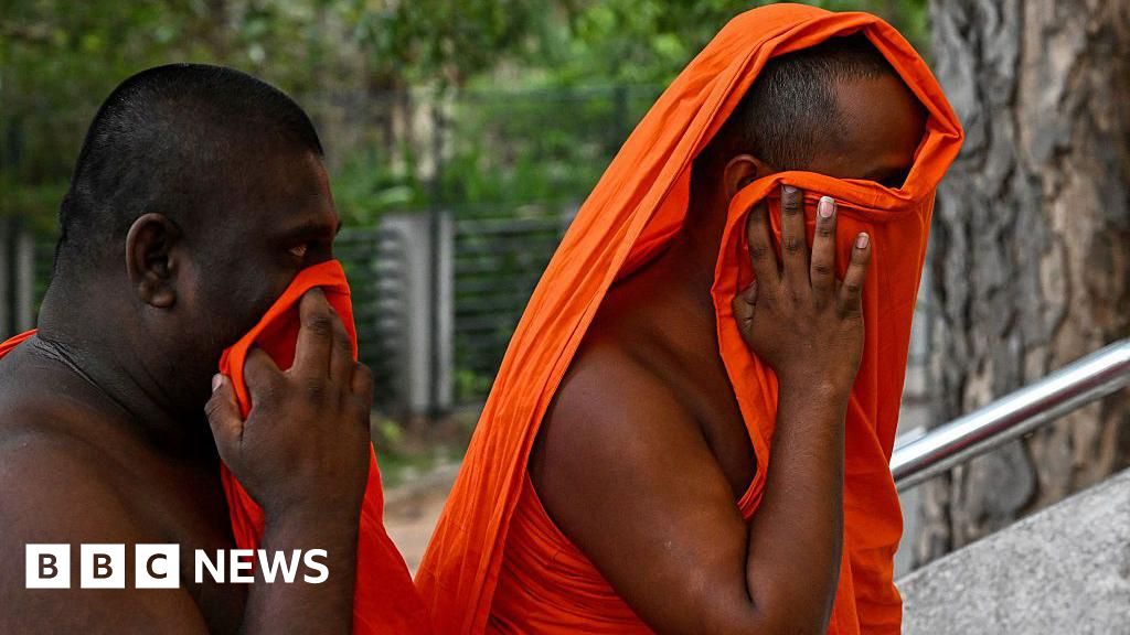 22 буддийских монаха задержаны в Шри-Ланке с 110 кг каннабиса в багаже