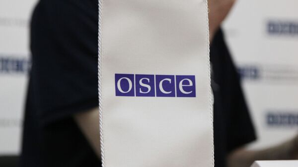 Россия призвала ОБСЕ к объективной оценке преступлений Киева против русскоязычных детей