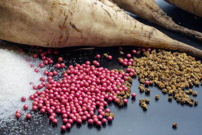 Казахстан увеличил производство новых сортов семян