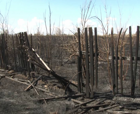 26 дач сгорели  в Павлодарской области