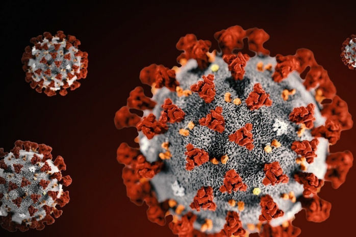 В Казахстане распространяется новый вариант коронавируса Omicron XBB — фейк