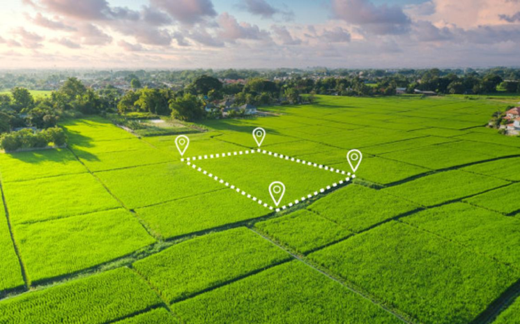 20 земельных участков стоимостью свыше 180 миллионов тенге возвращены государству в СКО