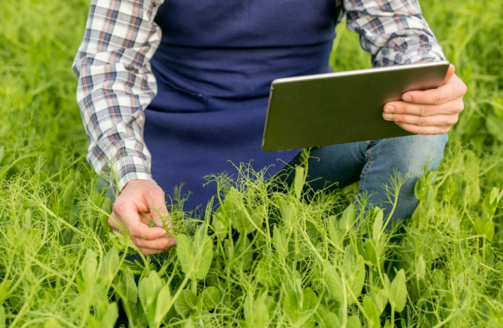 Банки второго уровня предоставят льготные кредиты аграриям