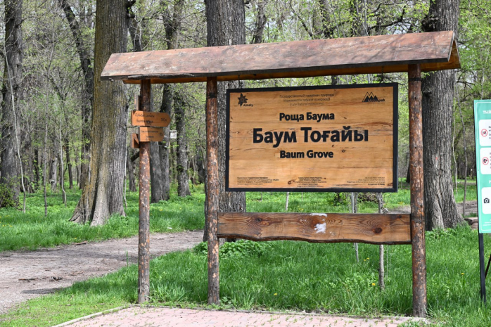 В Алматы проведут благоустройство рощи Баума и БАК