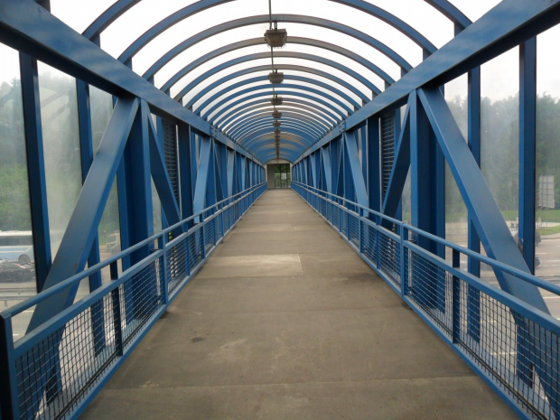 Полиция спасла мужчину от суицида в ВКО