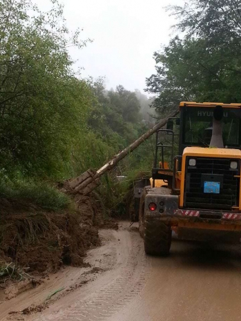 За 18 мая зафиксировано восемь грязевых сходов в Алматы и Алматинской области