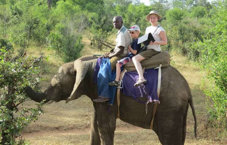 Ботсвана с нового года запрещает катание на слонах