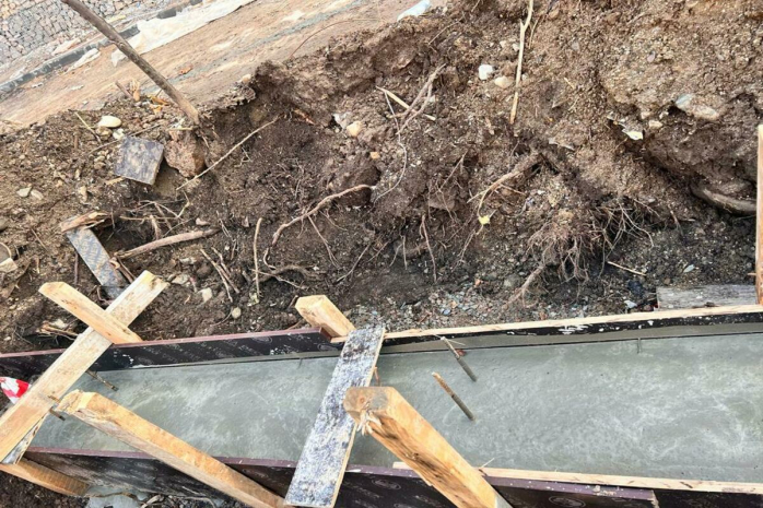 Многолетние деревья вырубили ради строительства ЖК в Алматы