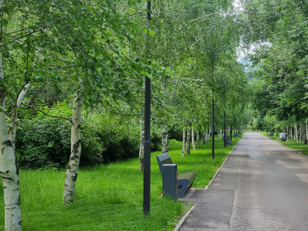 Парк «Южный» в Алматы реконструируют в 2024 году