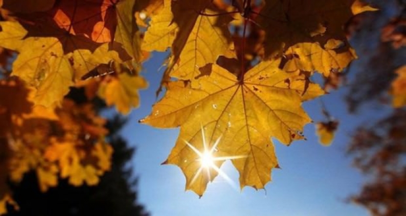 На севере Казахстана ожидаются дождиЭксклюзив