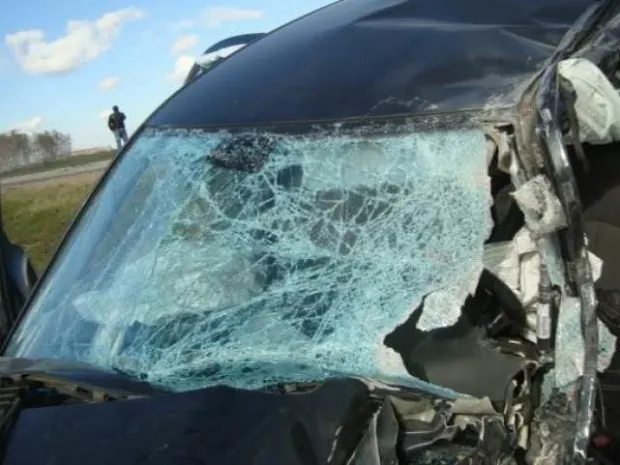 В СКО произошло ДТП, есть погибшие и раненые, среди них дети