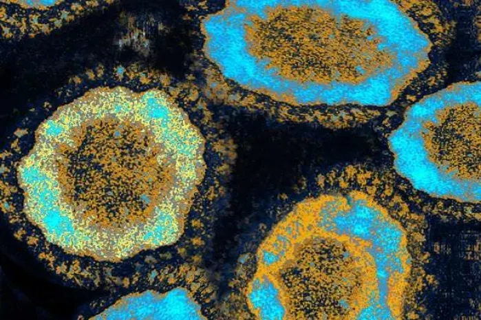 Казахстанских туристов предупреждают о коронавирусеЭксклюзив