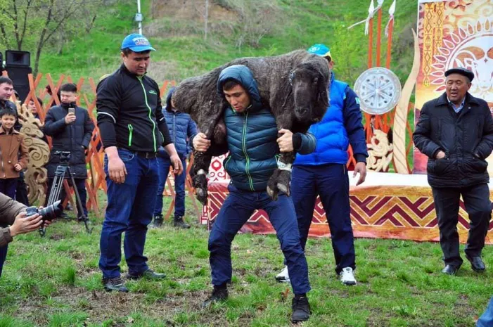 В Шымкенте прошел конкурс «Подними барашка»