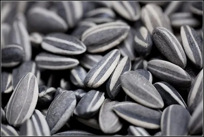 На границе задержан караван, перевозивший семечки