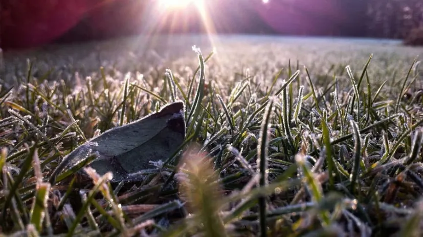 Плюсовая температура ожидается на юге Казахстана