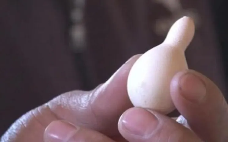 Яйцо в форме кувшина обнаружил житель Семея