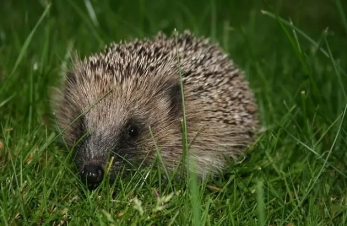 Какие предметы не стоит использовать при мастурбации?